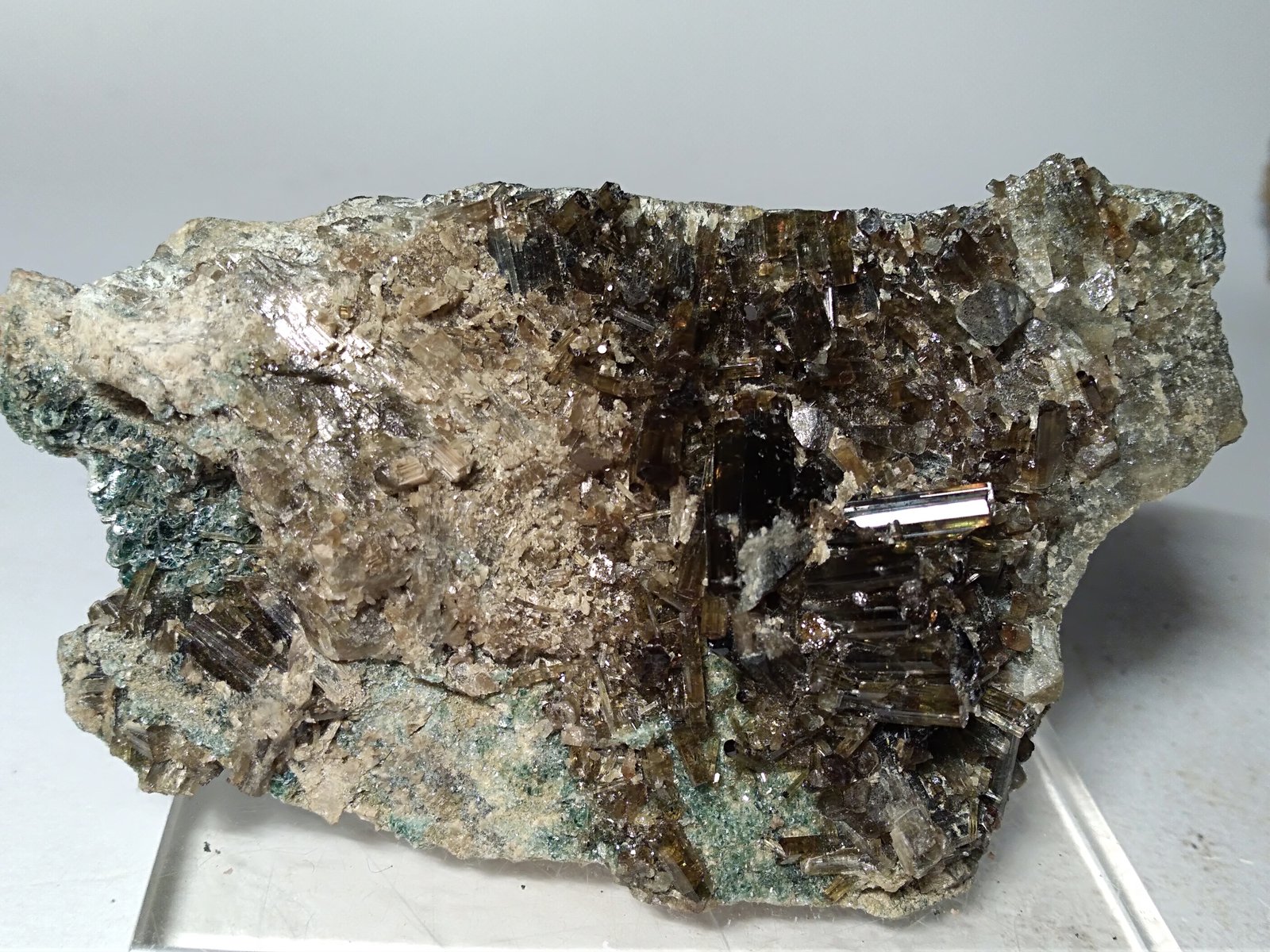 Vesuvianite
97 x 58 mm
(Autor: Sante Celiberti)