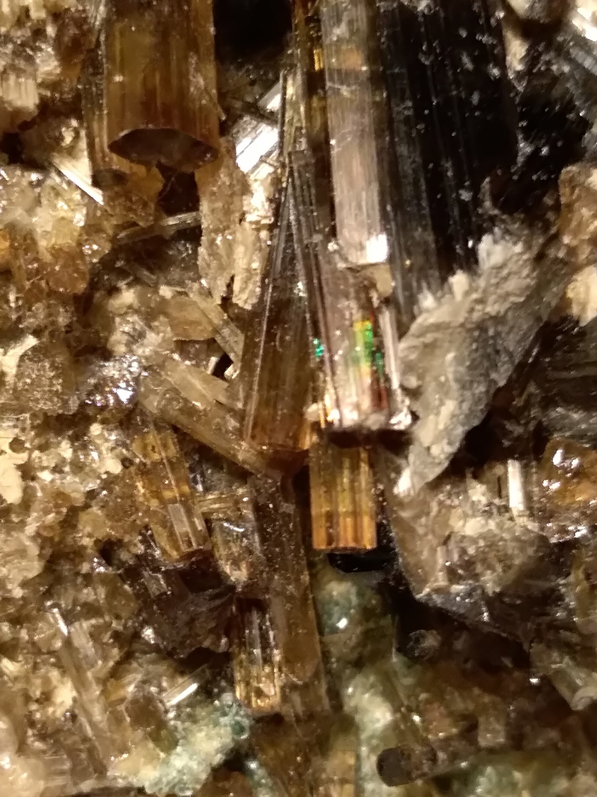 Vesuvianite
97 x 58 mm
(Autor: Sante Celiberti)
