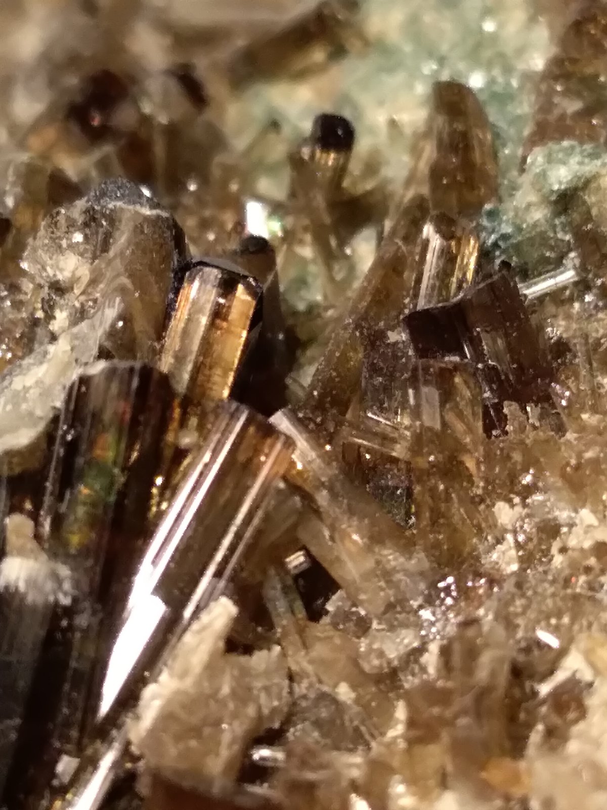 Vesuvianite
97 x 58 mm
(Autor: Sante Celiberti)