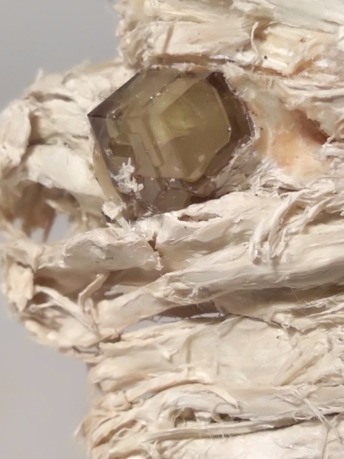 Andradite (variety demantoid), asbestos
79 x 38 mm
(Autor: Sante Celiberti)