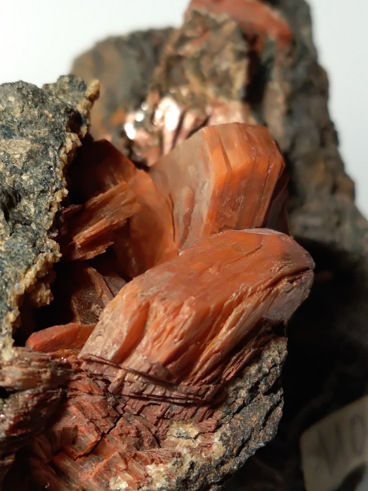 Heulandite-Ca
96 x 59 mm
(Autor: Sante Celiberti)