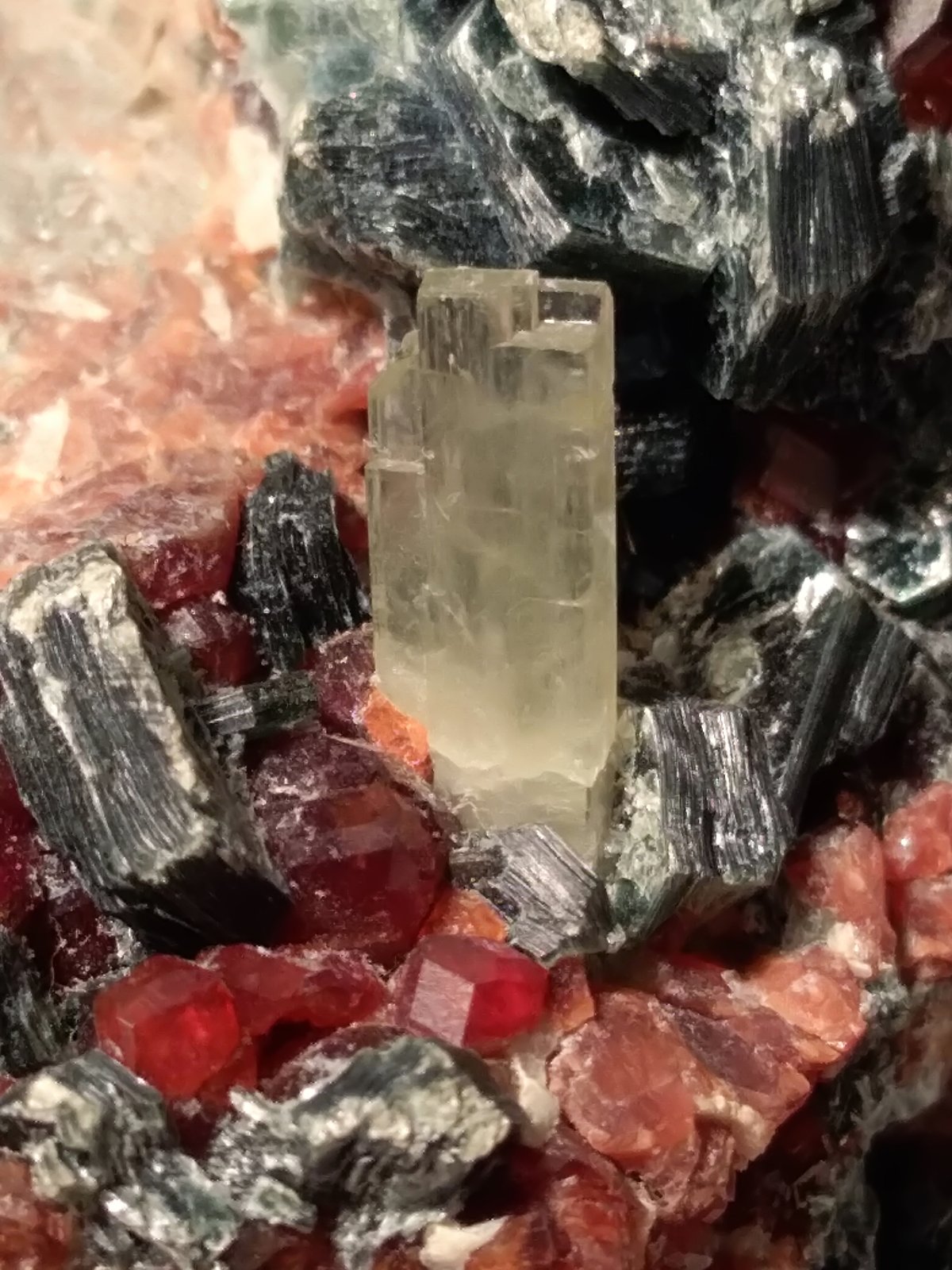 Grossular (variety hessonite), Diopside,Clinochlore
61 x 52 mm
(Autor: Sante Celiberti)