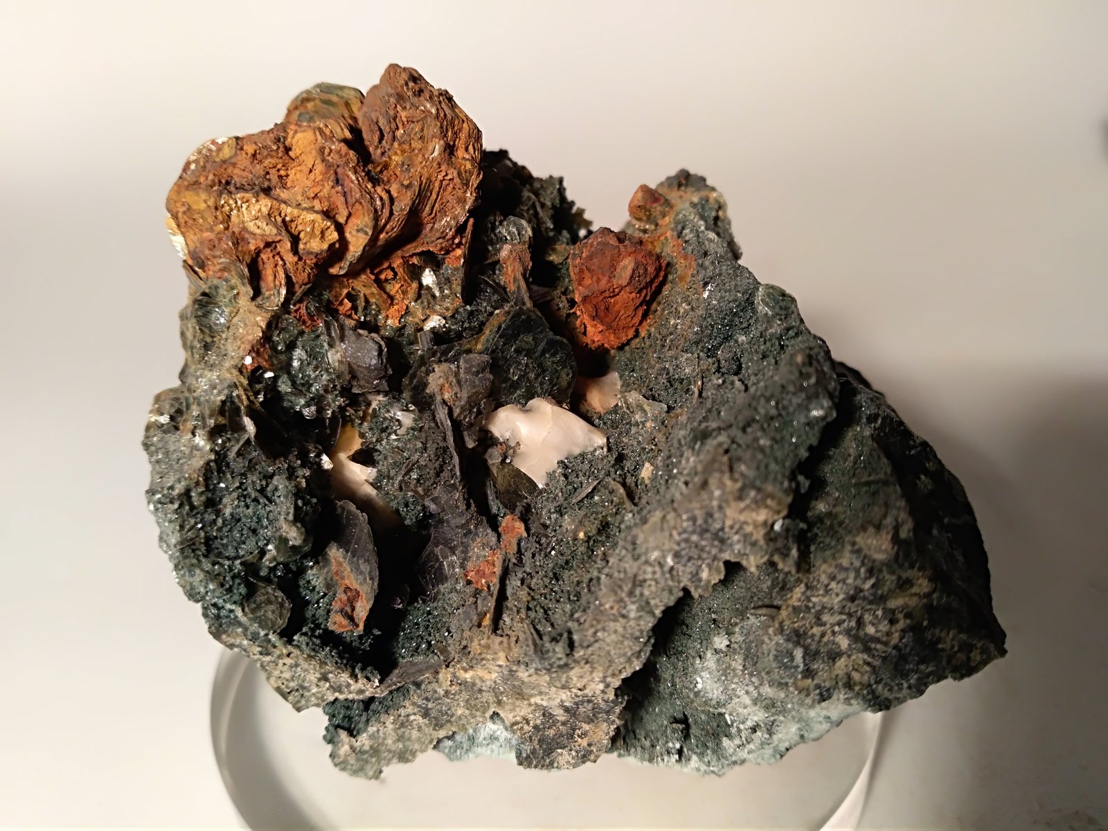 Biotite
70,6 x 61 mm
(Autor: Sante Celiberti)