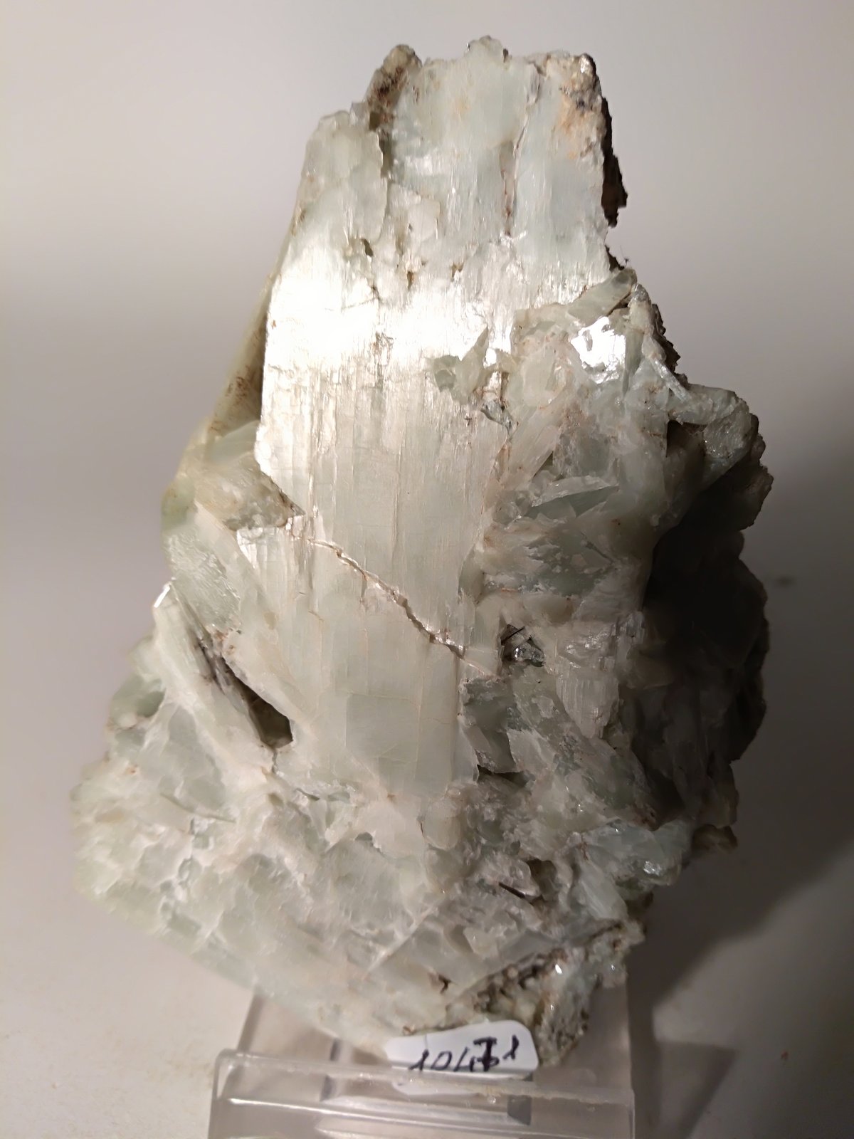 Diopside
90 x 56 mm
(Autor: Sante Celiberti)