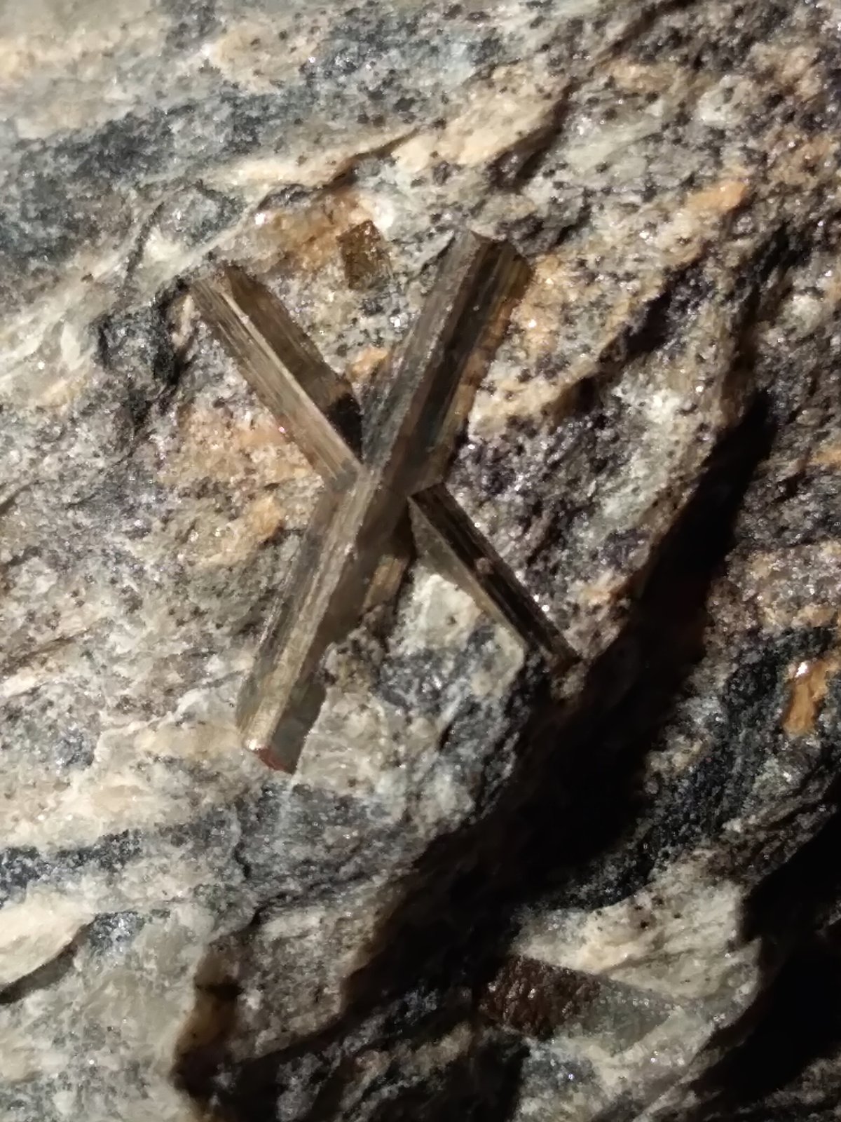 Arsenopyrite
56 x 55 mm
(Autor: Sante Celiberti)