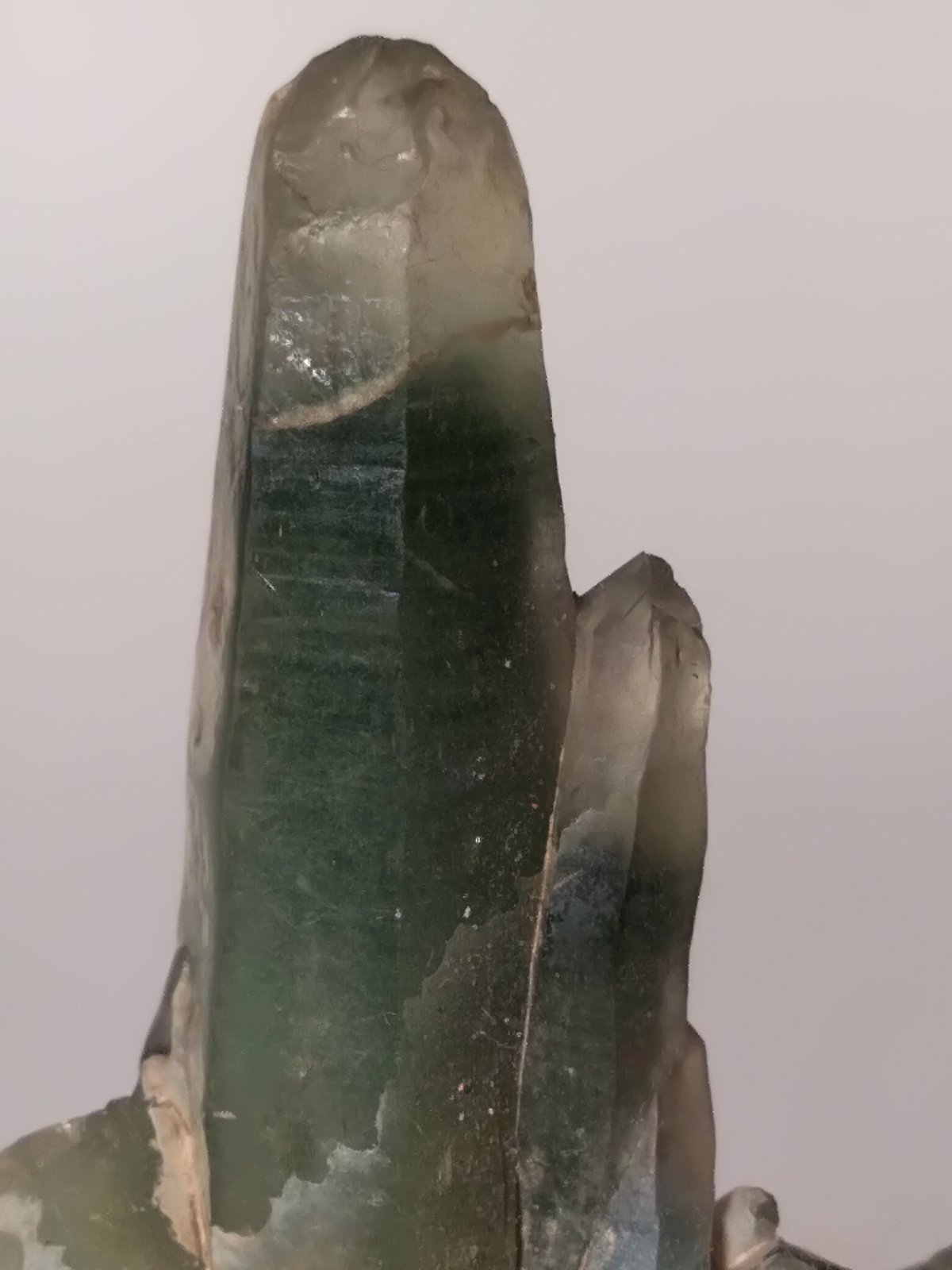 Quartz (variety prase)
60 x 37 mm
(Autor: Sante Celiberti)