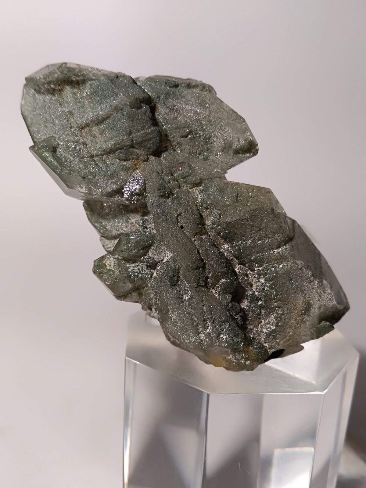 Quartz (variety faden), Chlorite (Group)
61 x 37 mm
(Autor: Sante Celiberti)