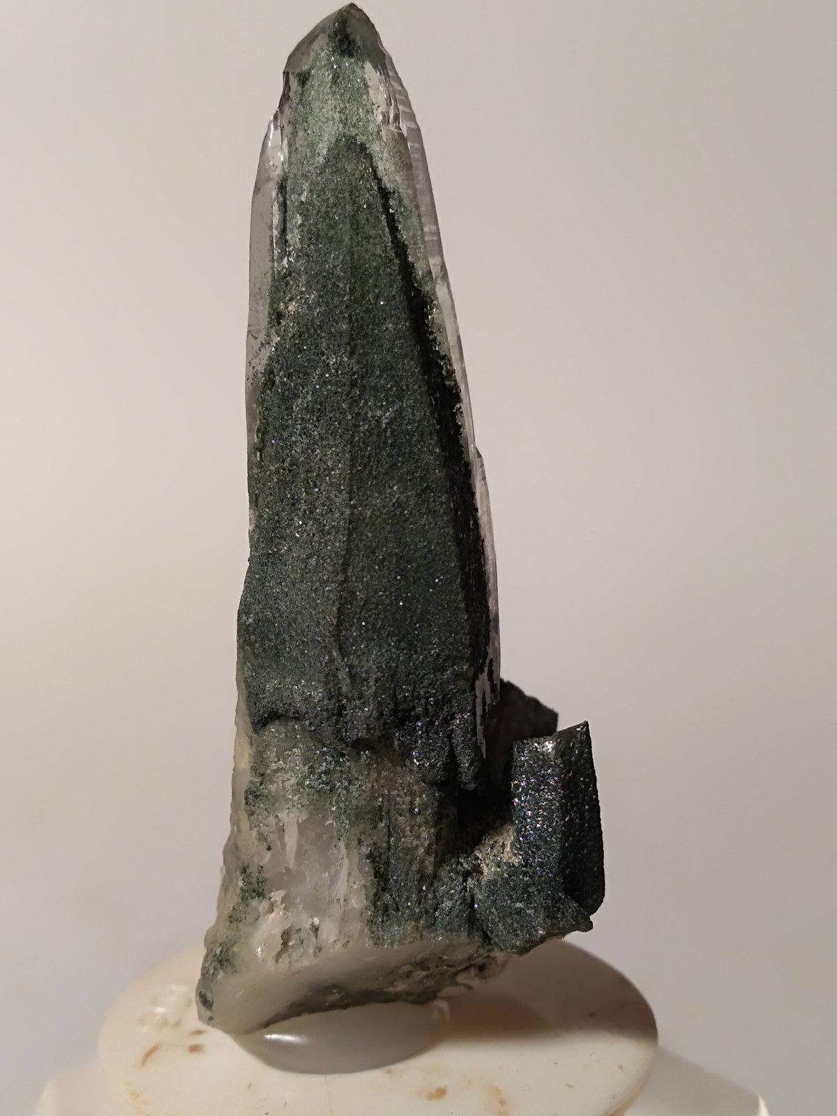 Quartz, (Chlorite Group)
51 x 27 mm
(Autor: Sante Celiberti)