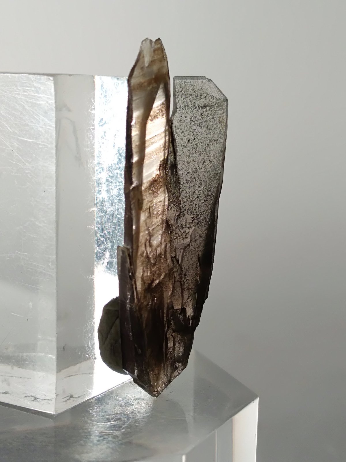 Quartz (variety smoky)
35 x 14 mm
(Autor: Sante Celiberti)