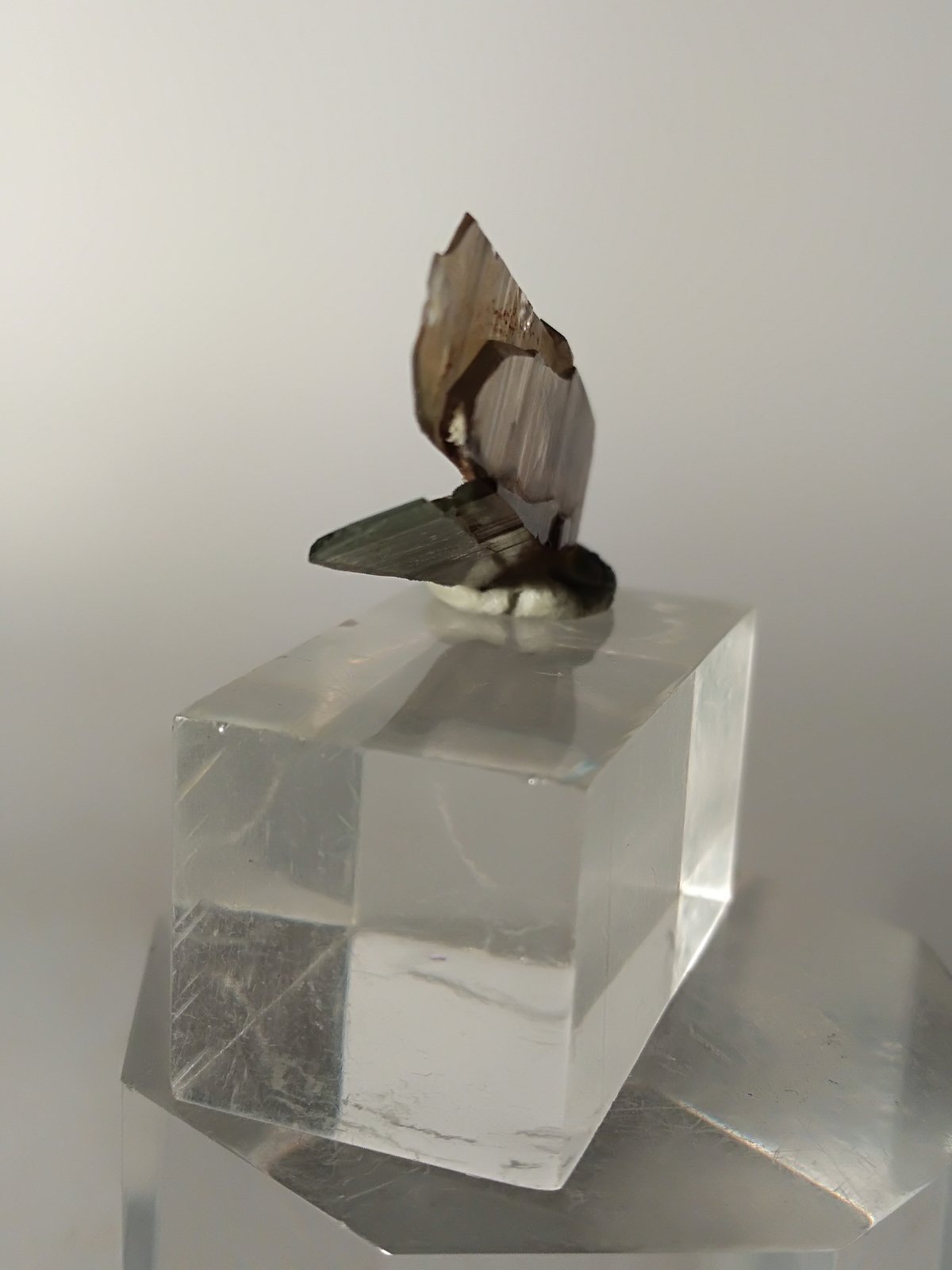 Quartz (variety smoky)
35 x 14 mm
(Autor: Sante Celiberti)
