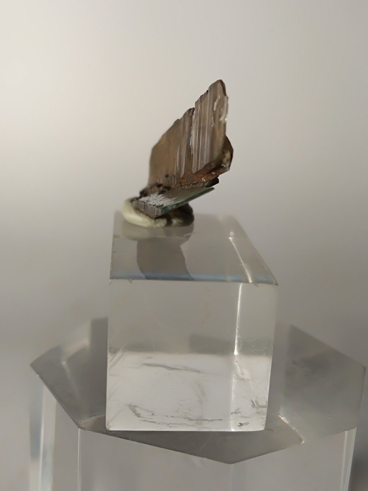 Quartz (variety smoky)
35 x 14 mm
(Autor: Sante Celiberti)