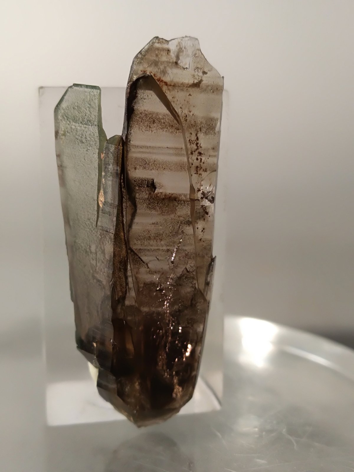Quartz (variety smoky)
35 x 14 mm
(Autor: Sante Celiberti)
