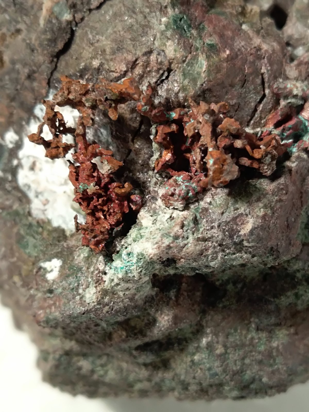 Copper
52,5 x 44,3 mm
(Autor: Sante Celiberti)