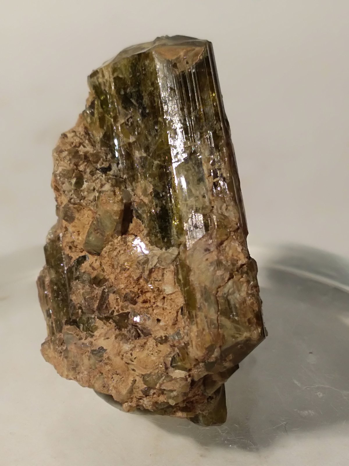 Epidote
36,7 x 23,6 mm
(Autor: Sante Celiberti)