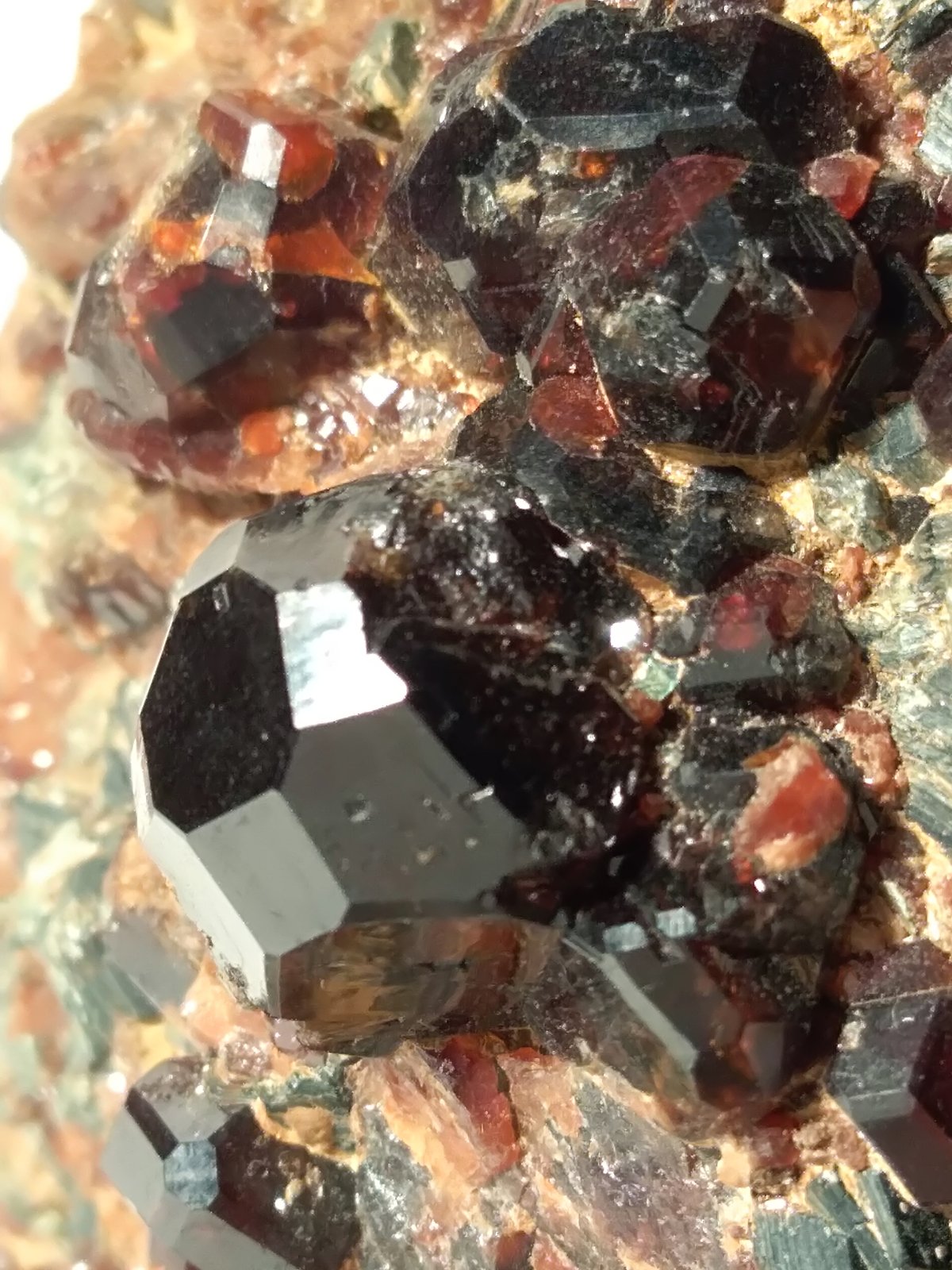 Grossular (variety hessonite), Clinochlore
78 x 48 mm
(Autor: Sante Celiberti)
