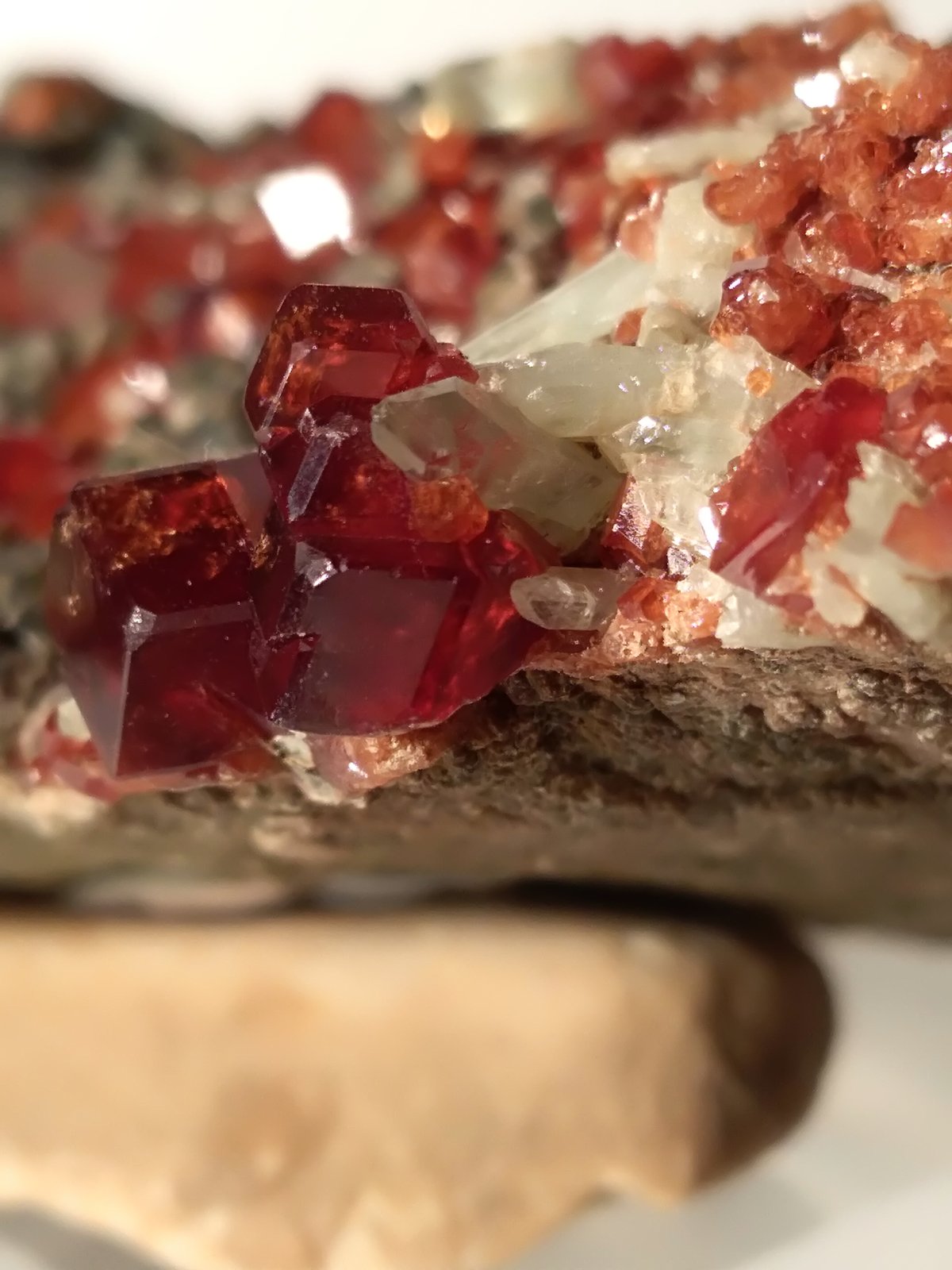 Grossular (variety hessonite), Diopside, Clinochlore
106,6 x 65 mm
(Autor: Sante Celiberti)