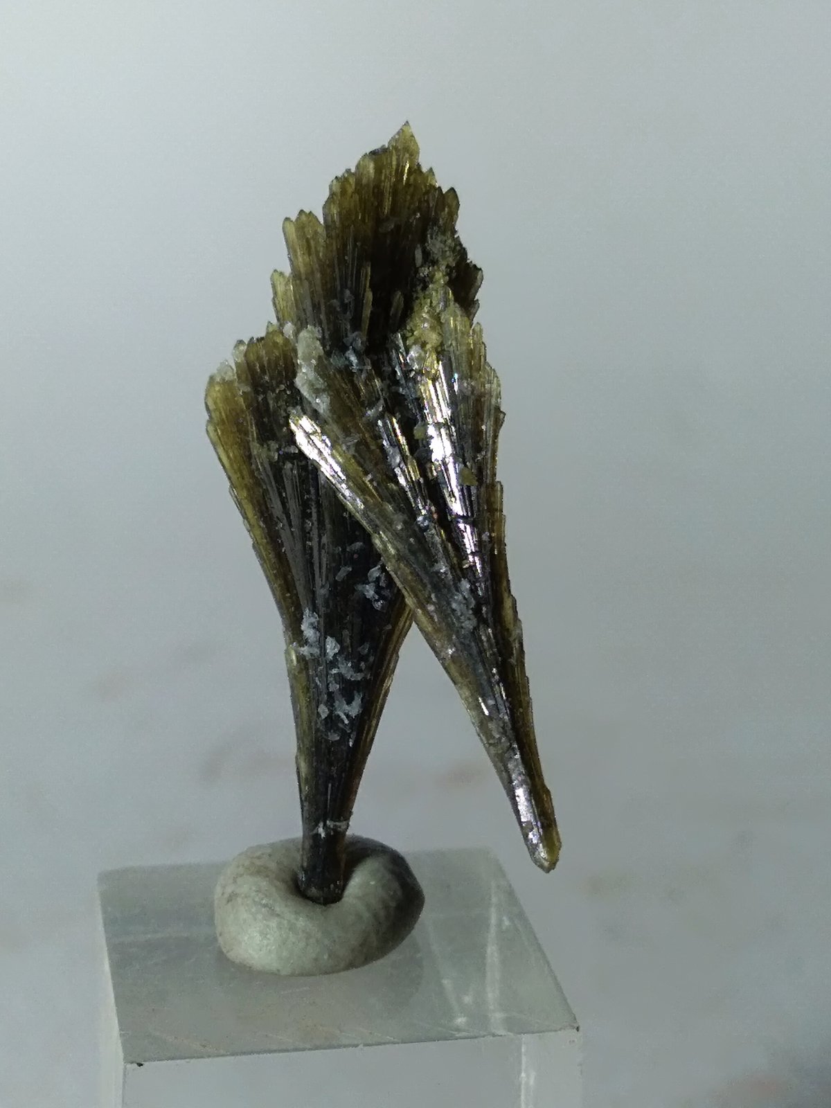 Epidote
32 x 12 mm
(Autor: Sante Celiberti)