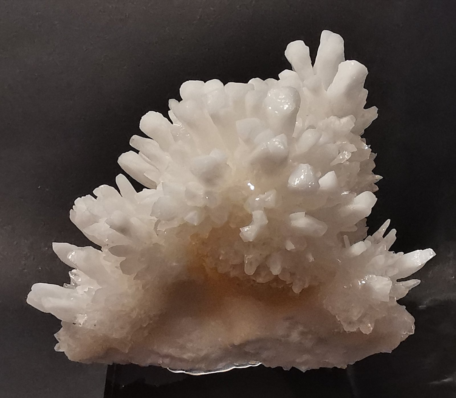 Aragonite
10 cm. x 7 cm.
(Autor: Enrique Llorens)