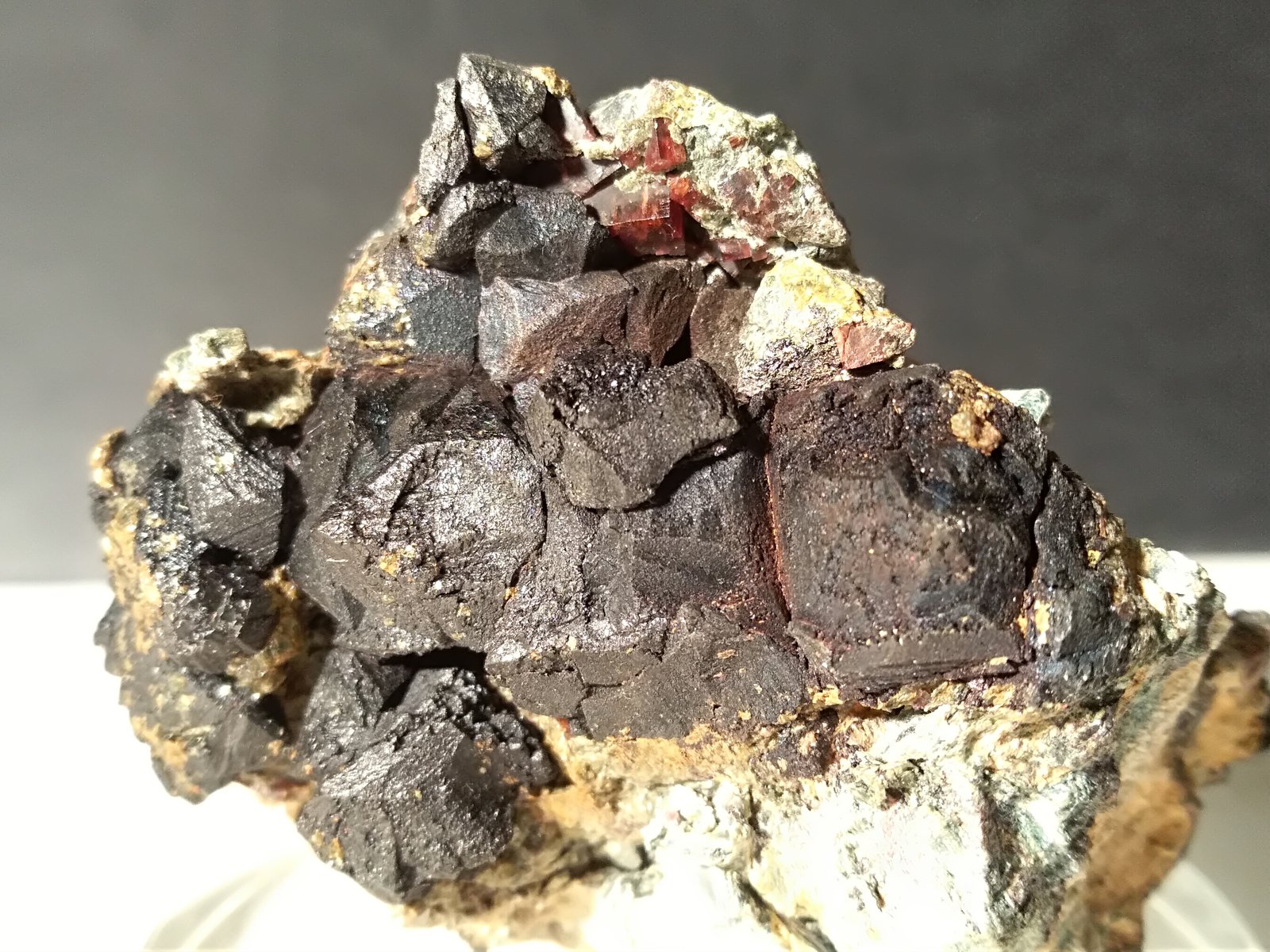 Perovskite, Magnetite
58,4 x 47,5 mm
(Autor: Sante Celiberti)