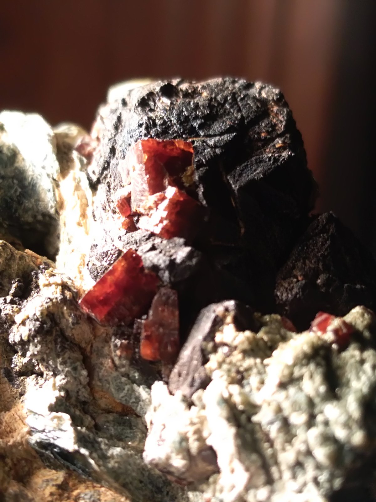 Perovskite, Magnetite
58,4 x 47,5 mm
(Autor: Sante Celiberti)