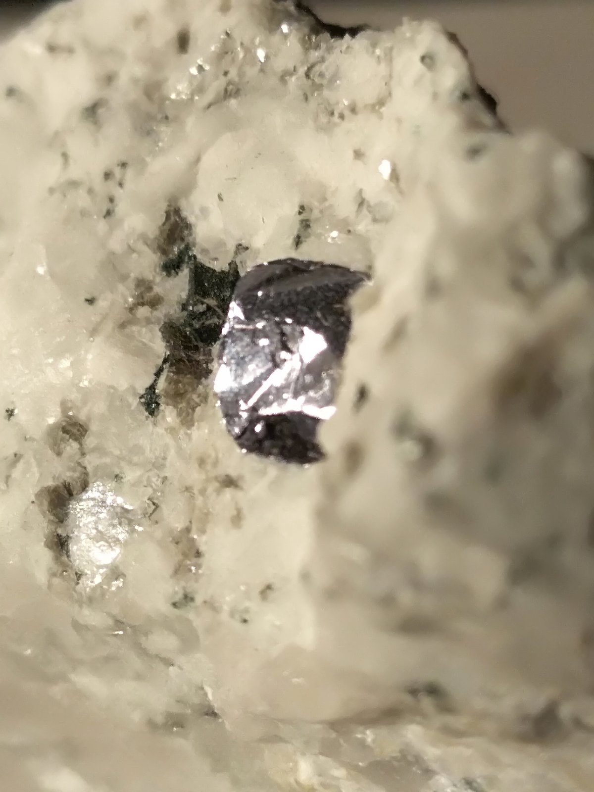 Molybdenite
43 x 39,5 mm
(Autor: Sante Celiberti)