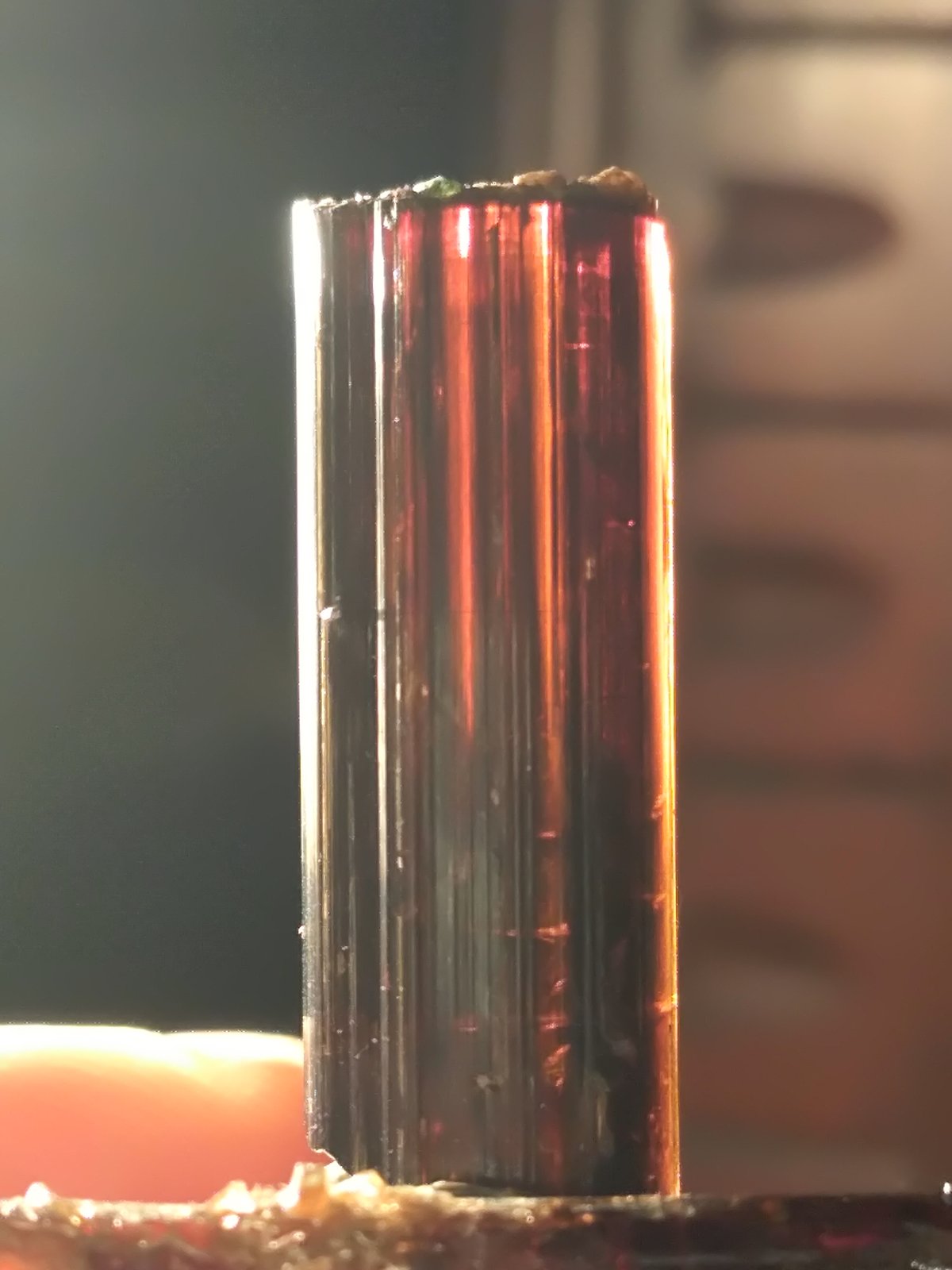 Vesuvianite
26 x 9,5 mm
(Autor: Sante Celiberti)