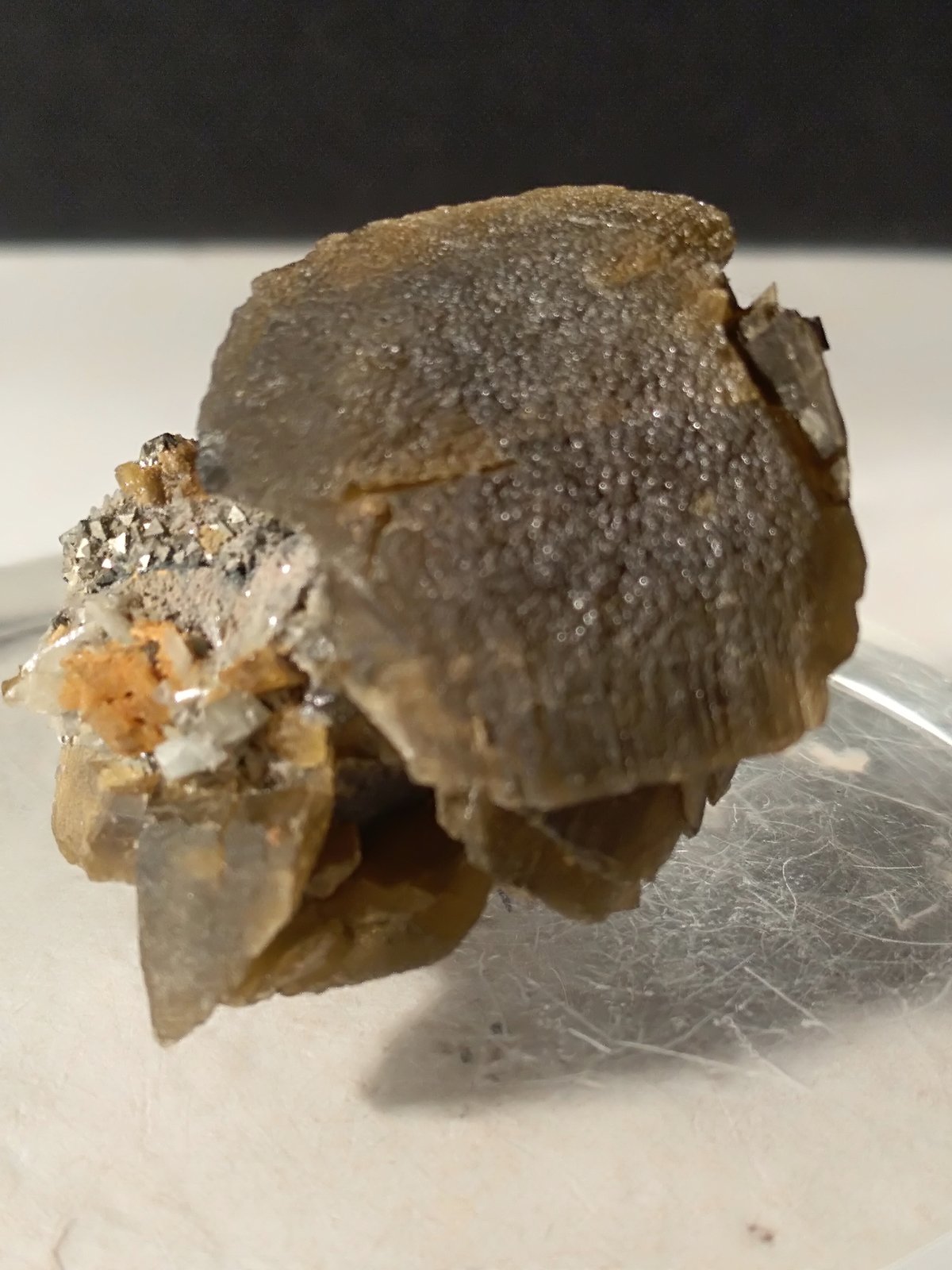 Axinite
33 x 32 mm
(Autor: Sante Celiberti)