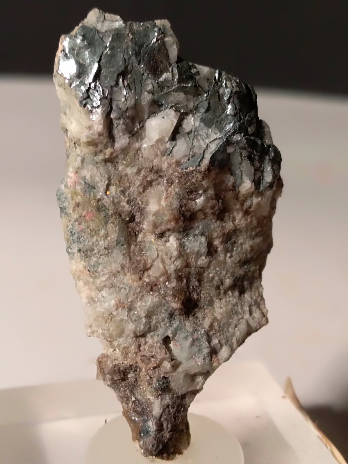 Tungstenite
36,5 x 20,5 mm
(Autor: Sante Celiberti)