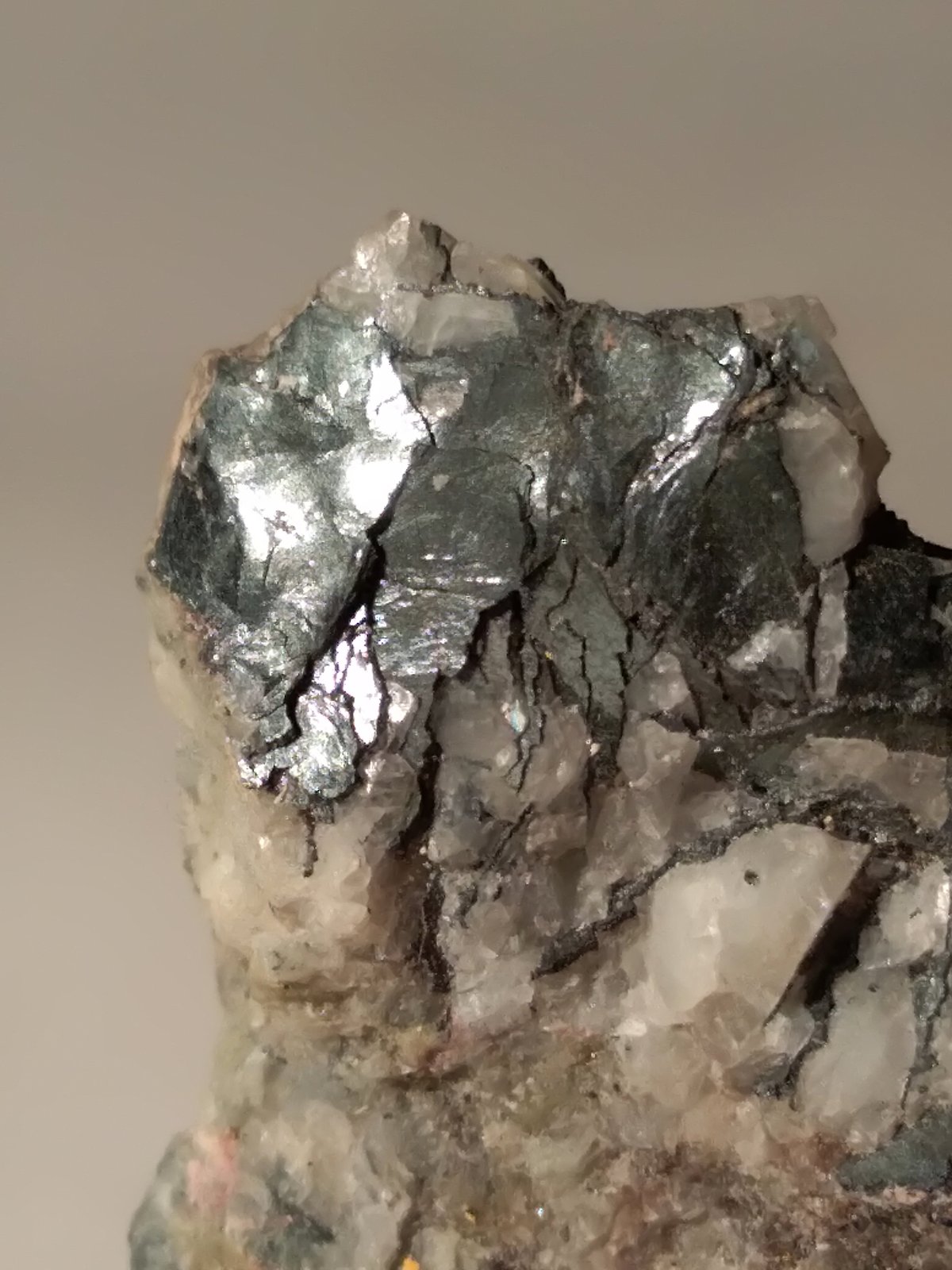 Tungstenite
36,5 x 20,5 mm
(Autor: Sante Celiberti)