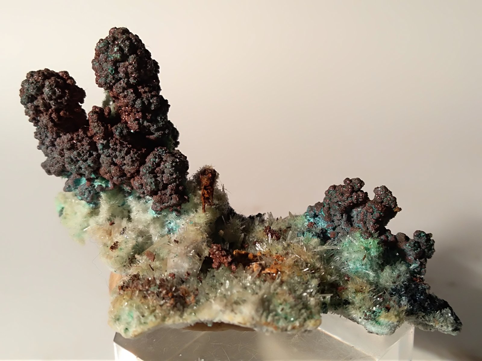 Copper, Malachite, Gypsum
75 x 60 mm
(Autor: Sante Celiberti)