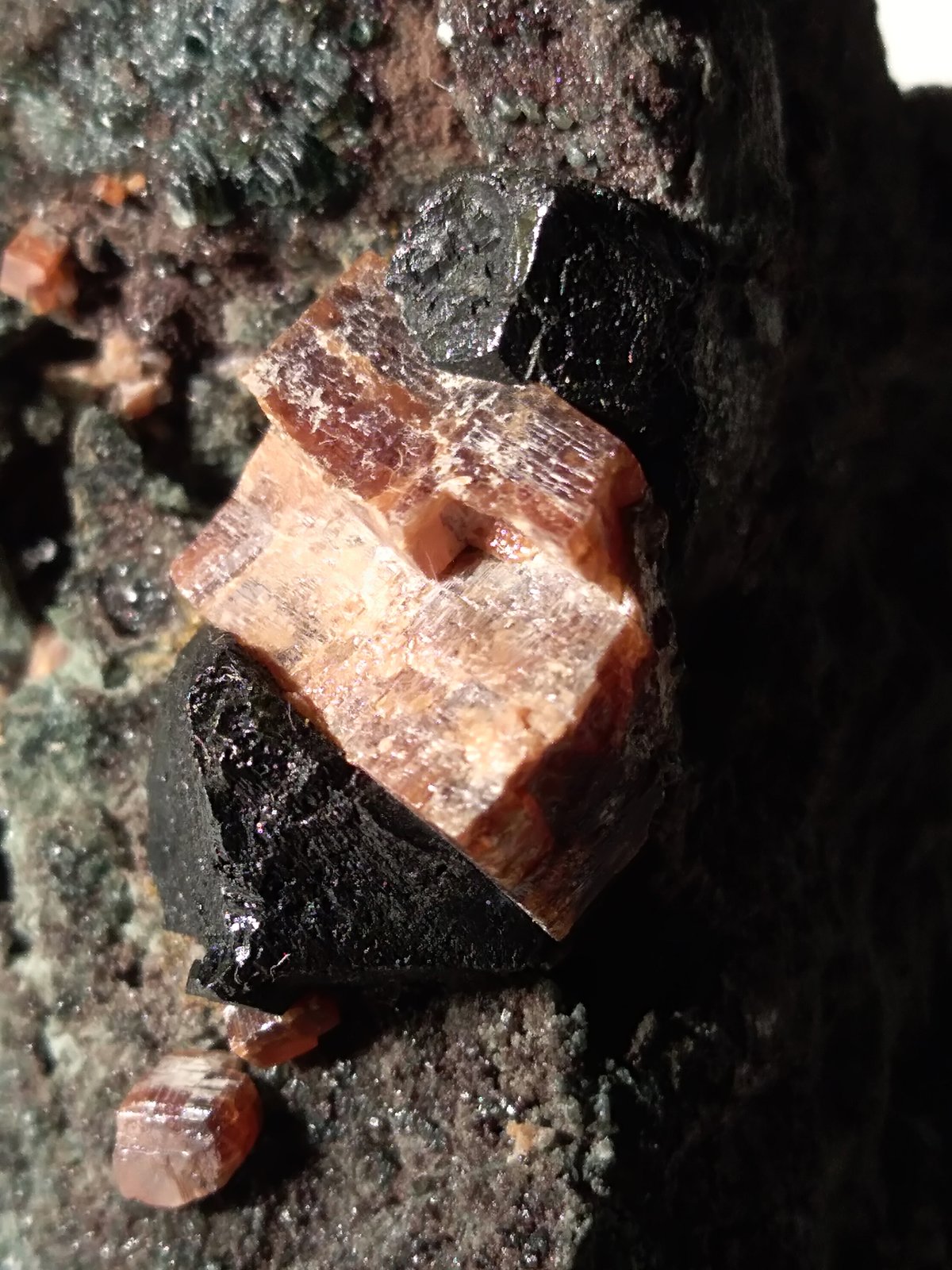 Perovskite, Magnetite
96 x 50 mm
(Autor: Sante Celiberti)