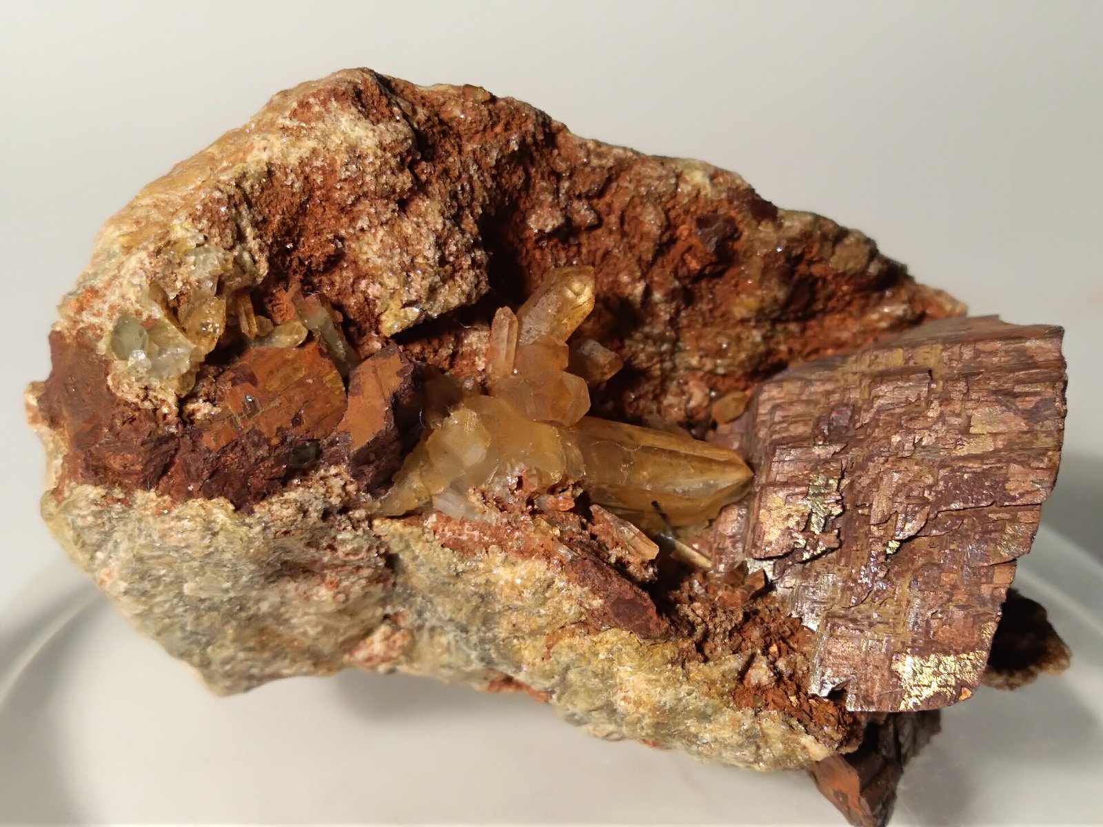 Siderite, Quartz
46,3 x 33 mm
(Autor: Sante Celiberti)