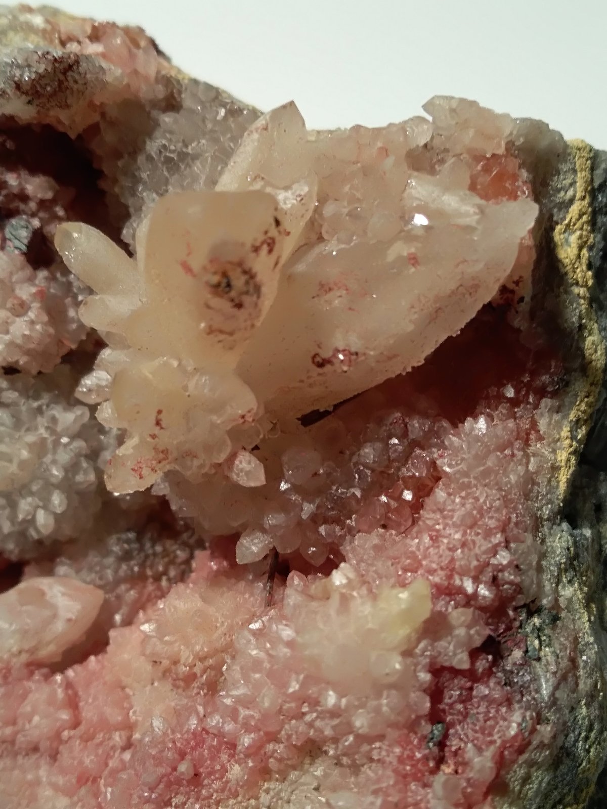 Metastibnite, Quartz
80 x 70 mm
(Autor: Sante Celiberti)