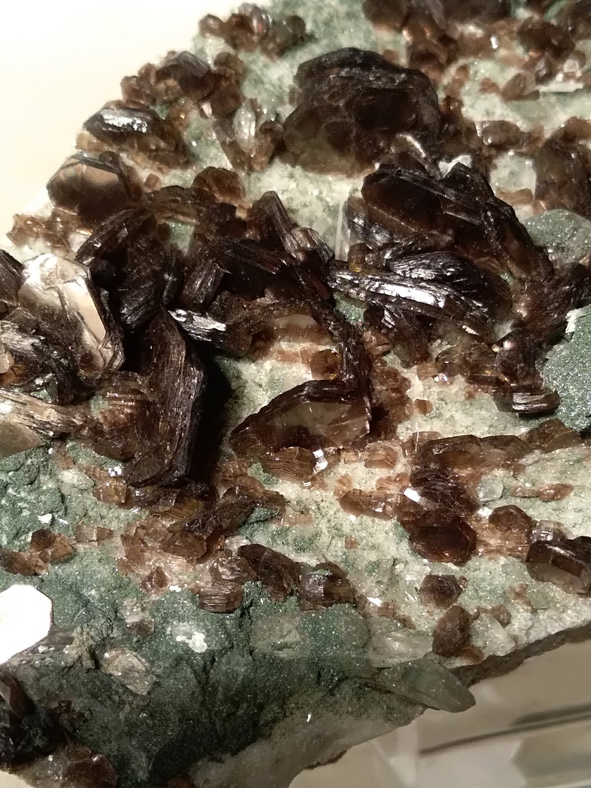 Muscovite, Quartz, Chlorite
121 x 72 mm
(Autor: Sante Celiberti)