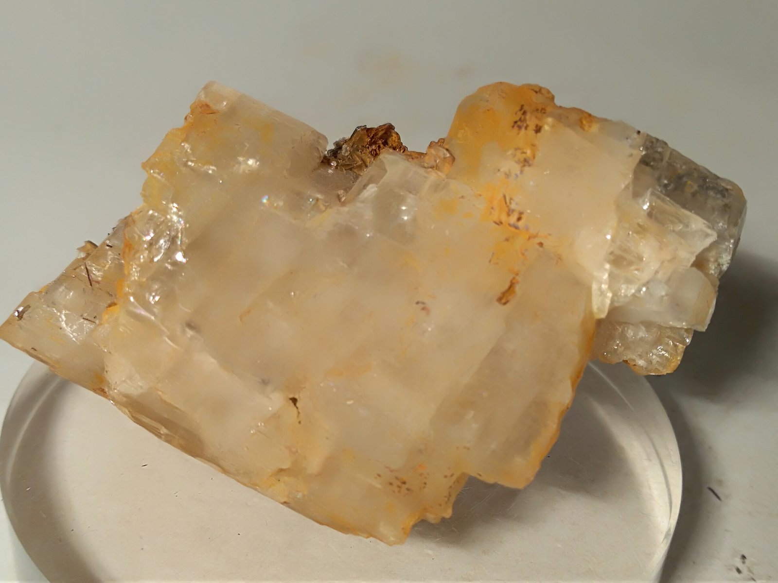 Orthoclase (variety adularia), Muscovite, Rutile
61 x 37 mm
(Autor: Sante Celiberti)