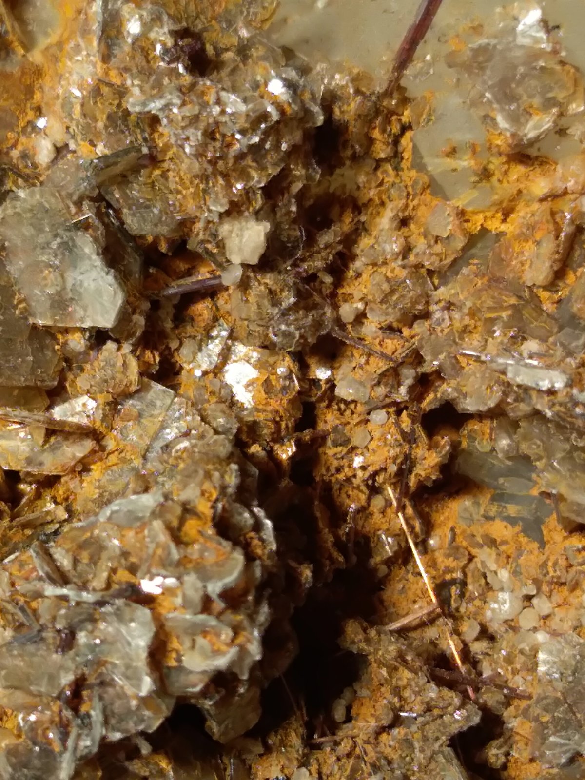 Orthoclase (variety adularia), Muscovite, Rutile
61 x 37 mm
(Autor: Sante Celiberti)