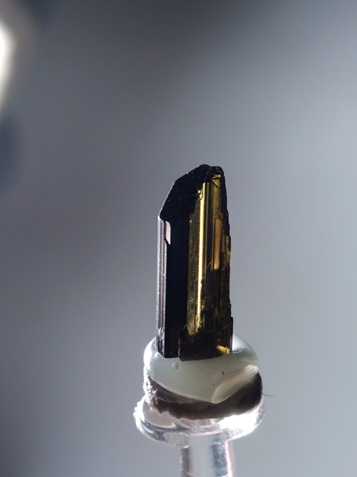 Epidote
10 x 4 mm
(Autor: Sante Celiberti)