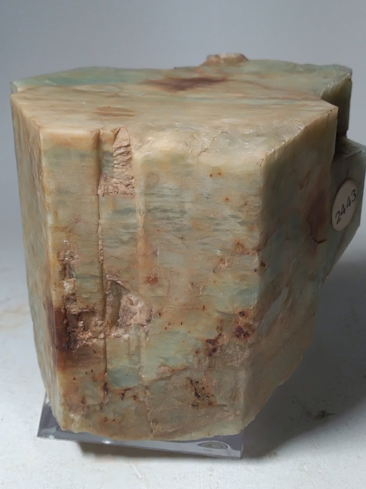 Beryl
58 x 65 mm
(Autor: Sante Celiberti)