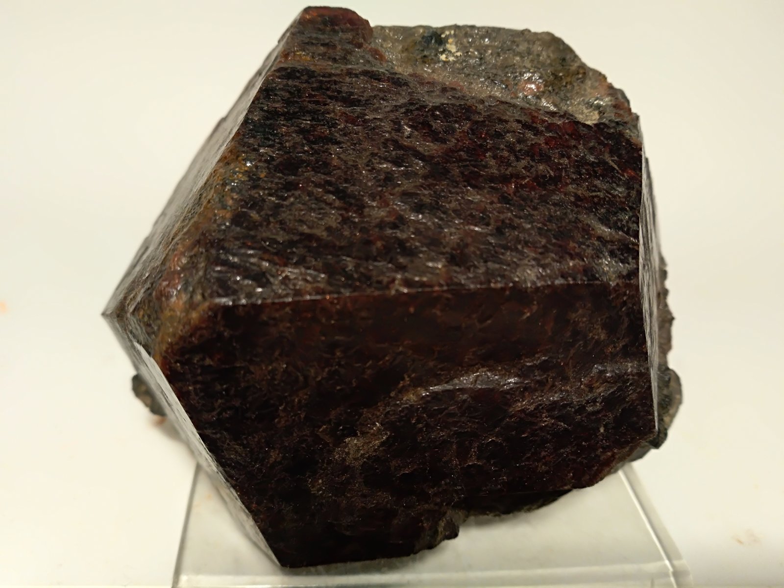 Almandine
94 x 77 mm
(Autor: Sante Celiberti)