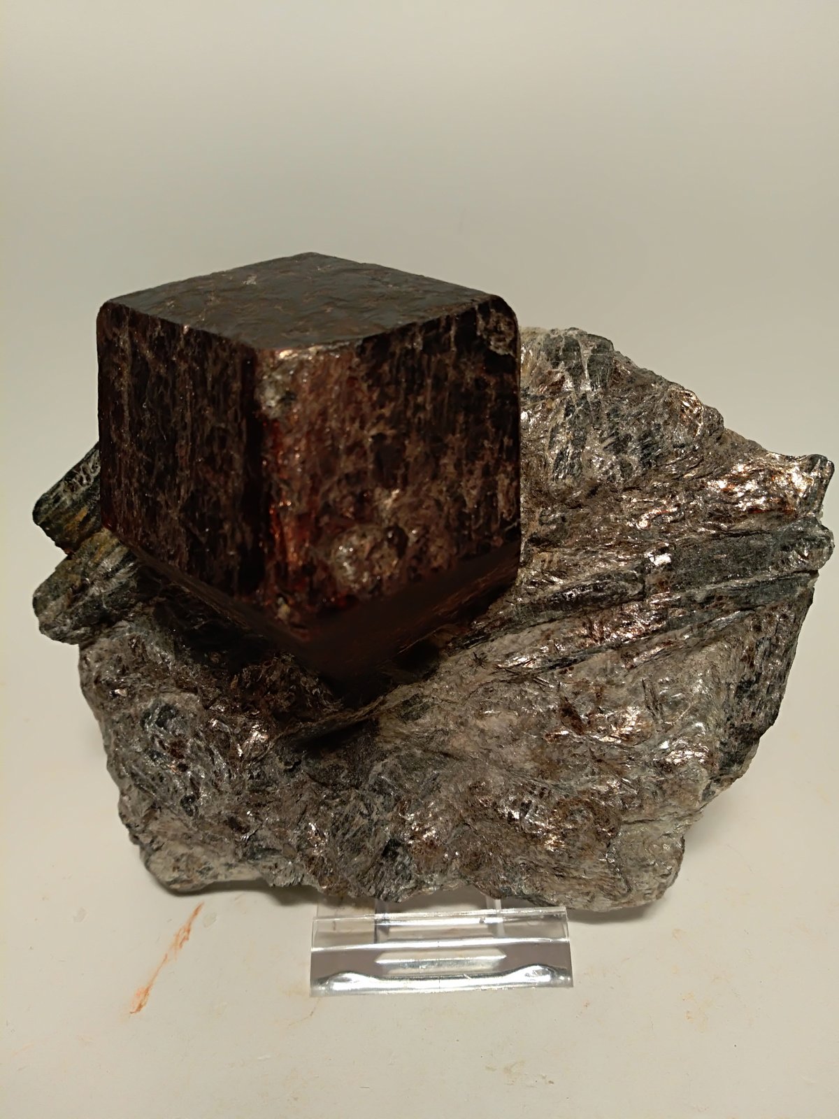 Almandine
110 x 105 mm
(Autor: Sante Celiberti)