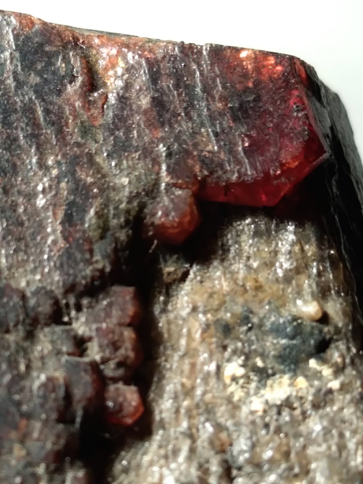 Almandine
94 x 77 mm
(Autor: Sante Celiberti)