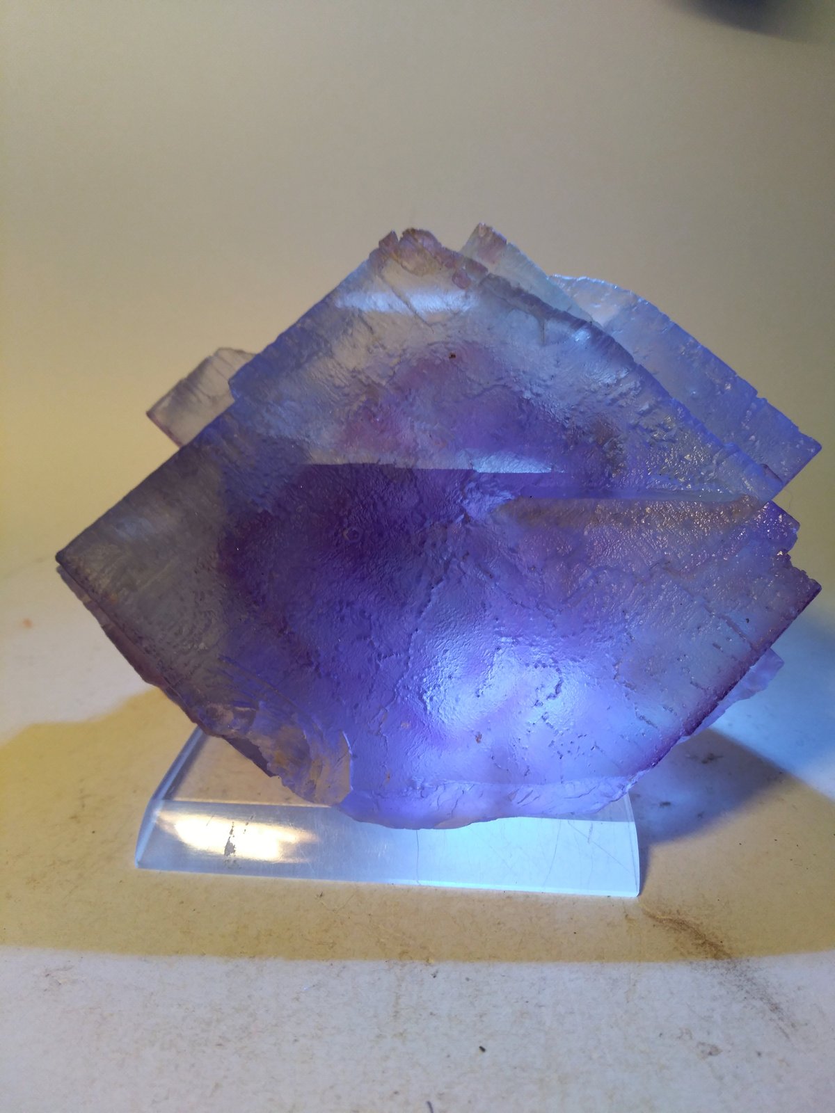 Fluorite
121 x 93 mm
(Autor: Sante Celiberti)