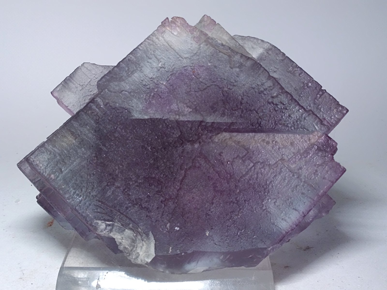Fluorite
121 x 93 mm
(Autor: Sante Celiberti)