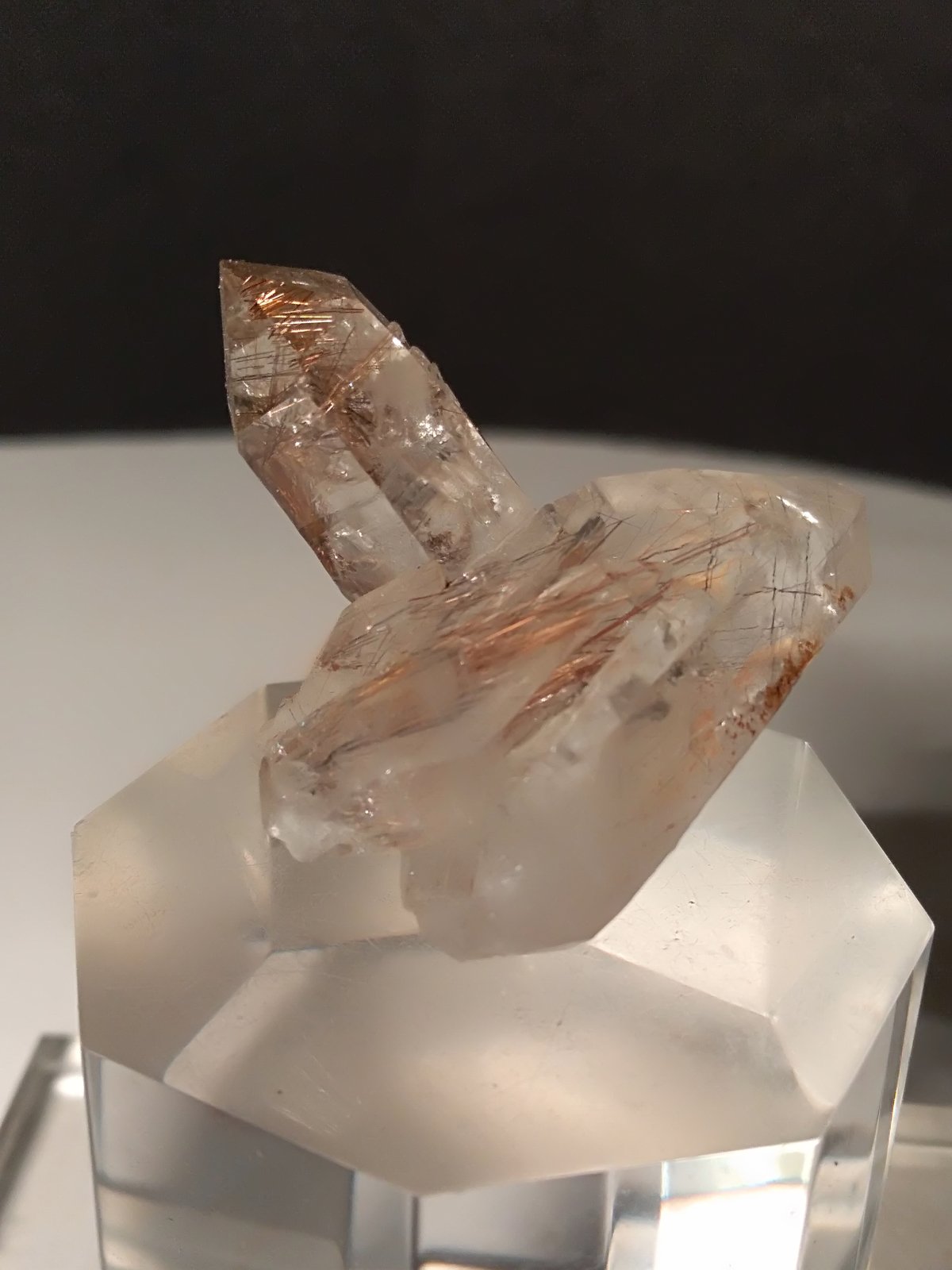 Rutile, Quartz
33 x 32 mm
(Autor: Sante Celiberti)