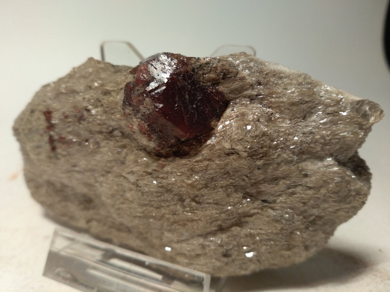 Pyrope
95 x 49 mm
(Autor: Sante Celiberti)