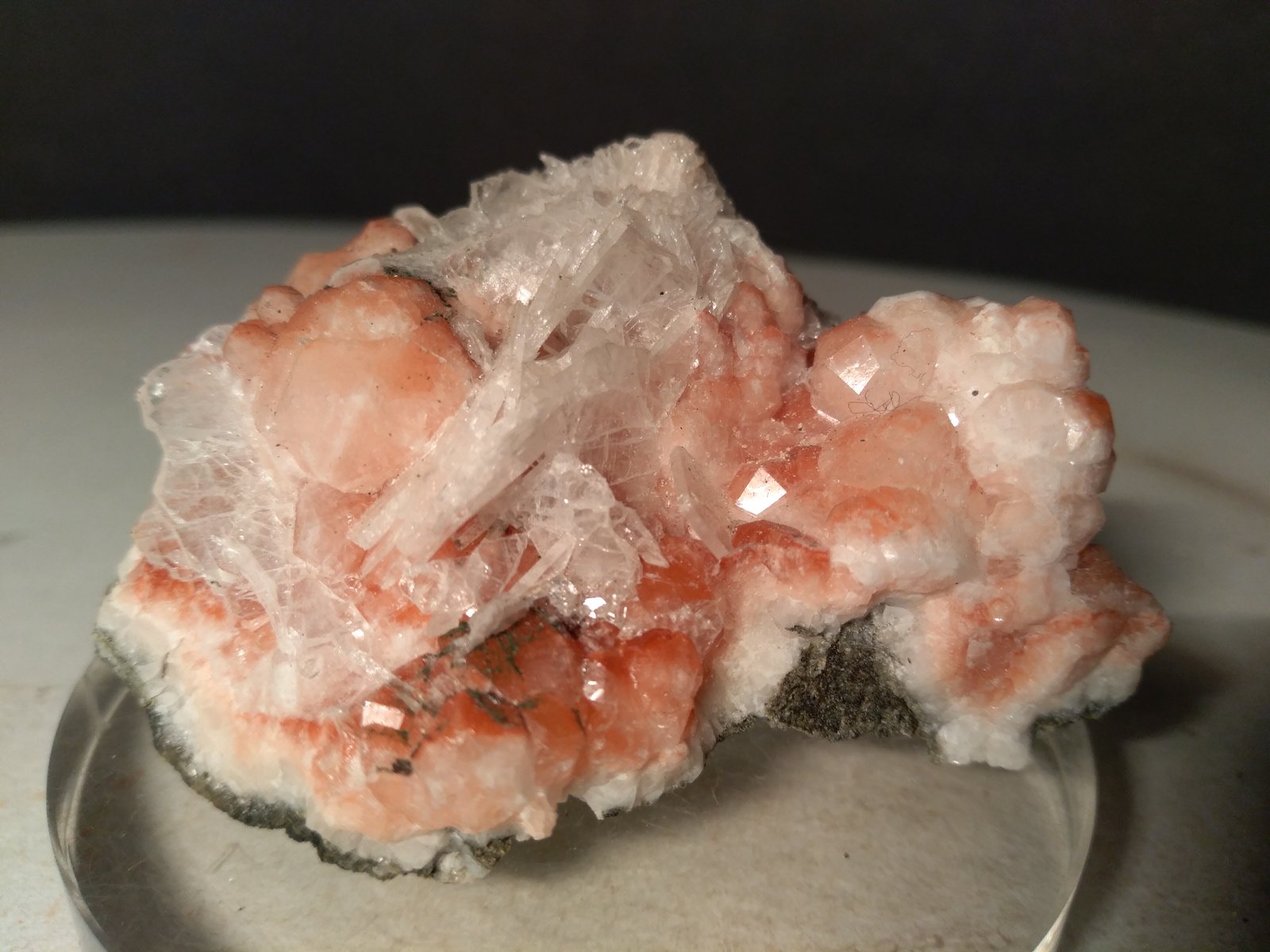 Analcime, 'Apophyllite'
58 x 42 mm
(Autor: Sante Celiberti)