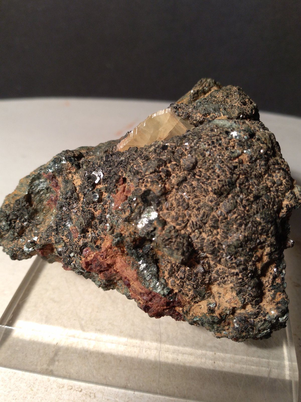 Titanite, Chlorite (Group)
75 x 69 mm
(Autor: Sante Celiberti)