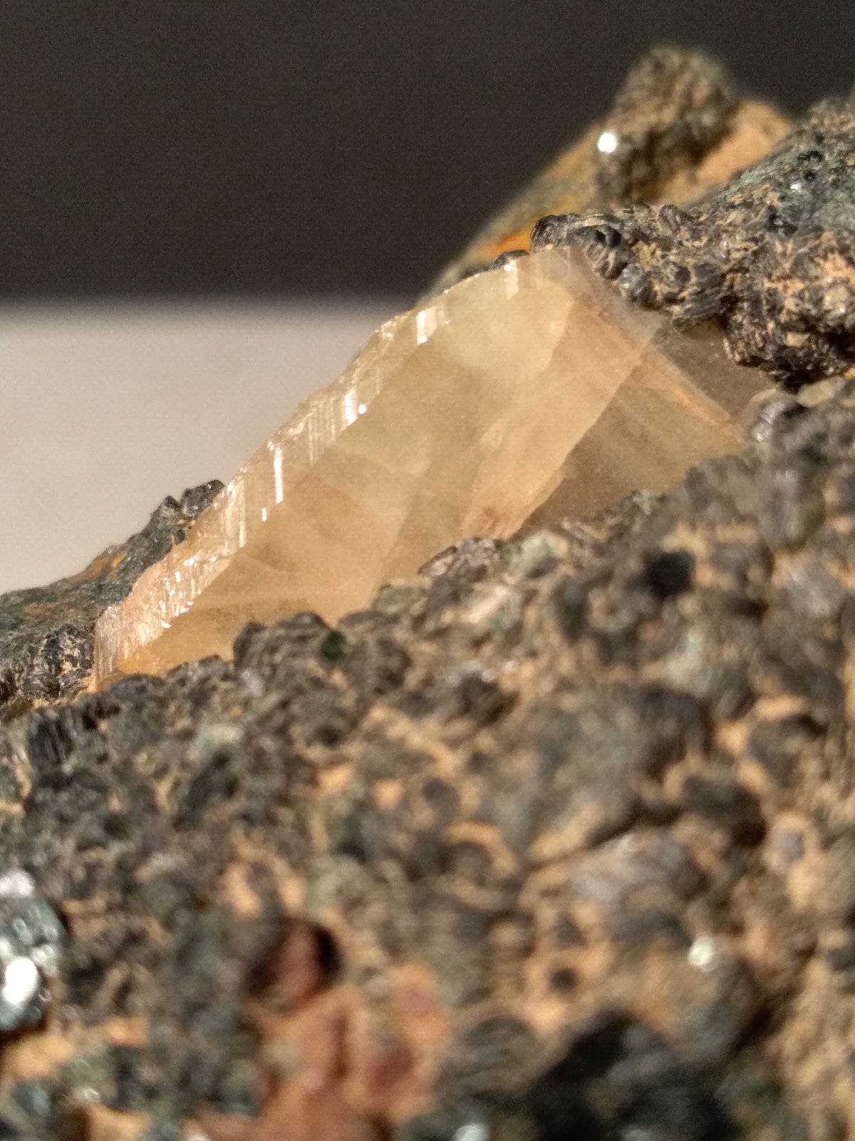 Titanite, Chlorite (Group)
75 x 69 mm
(Autor: Sante Celiberti)