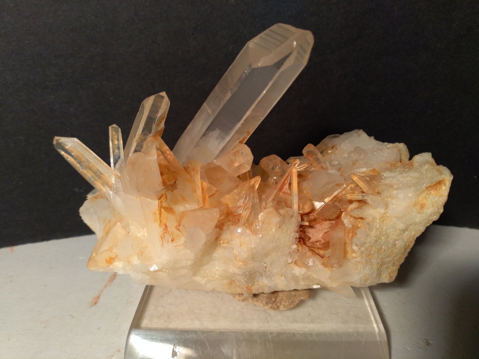 Quartz
109 x 72 mm
(Autor: Sante Celiberti)