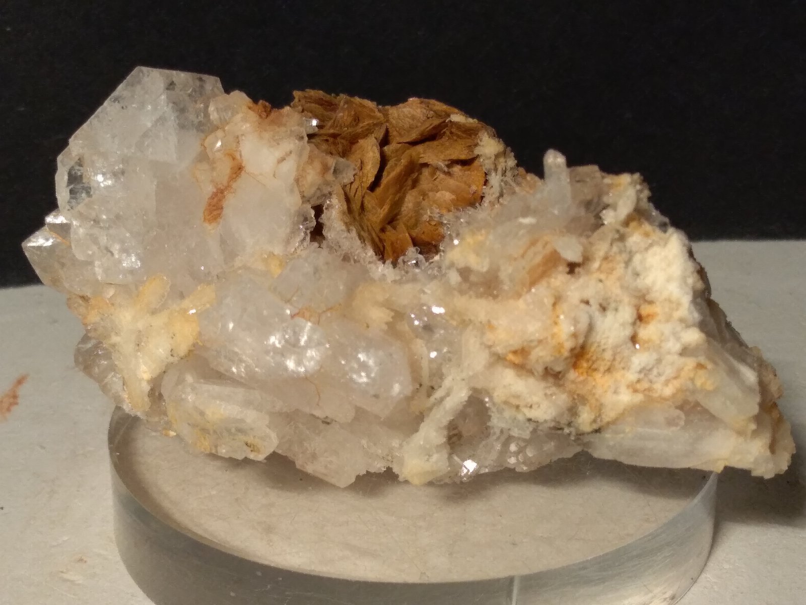 Baryte, Siderite
74,5 x 39,4 mm
(Autor: Sante Celiberti)